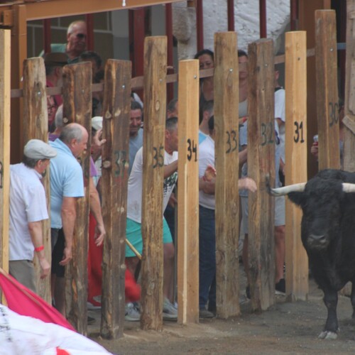 toros 16 agosto 2025 (64)